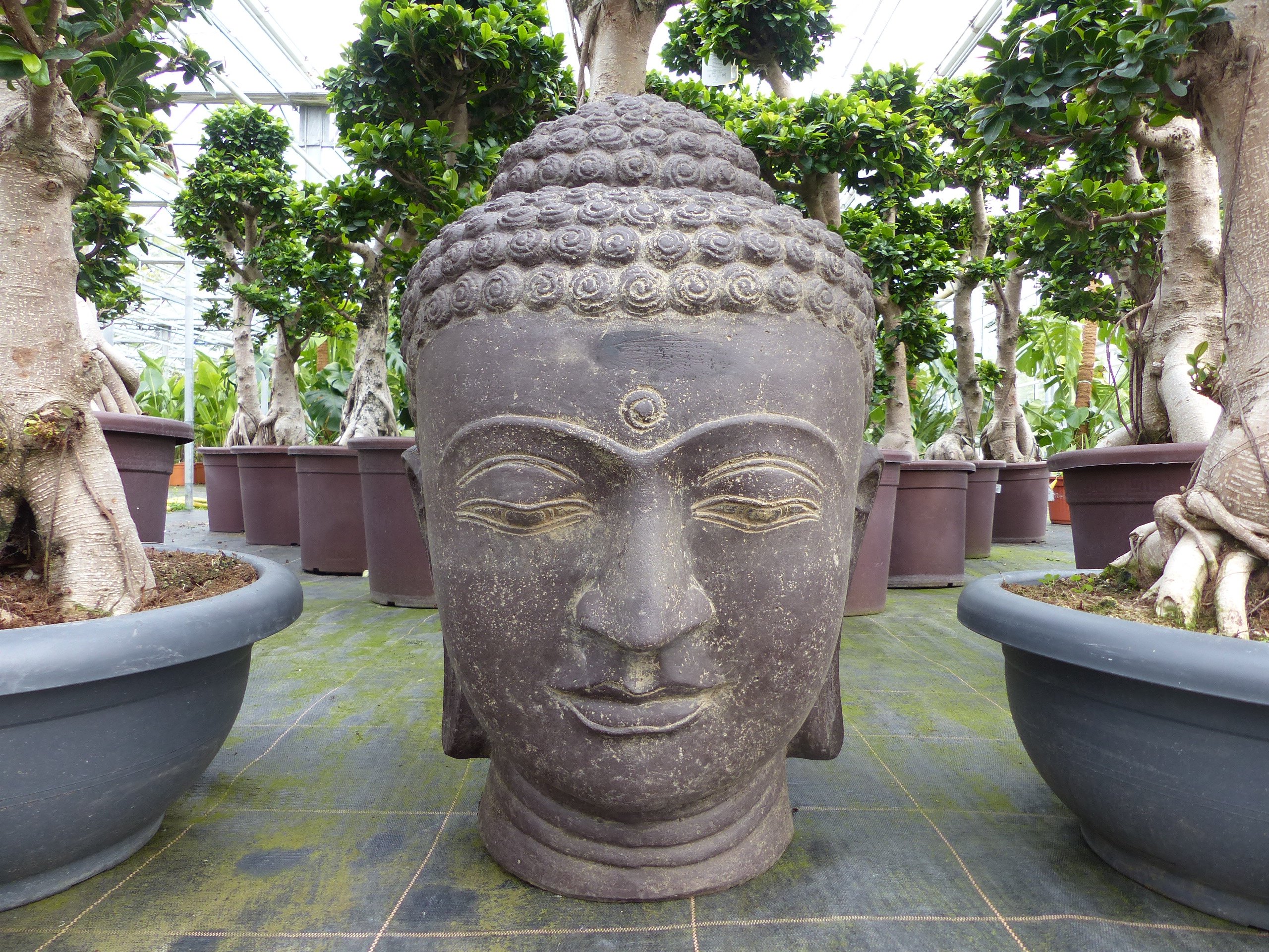 Buddha Figur Kopf Wasserspiel 73 cm, Fieberglas-Beton, Buddha Statue 47,8 kg