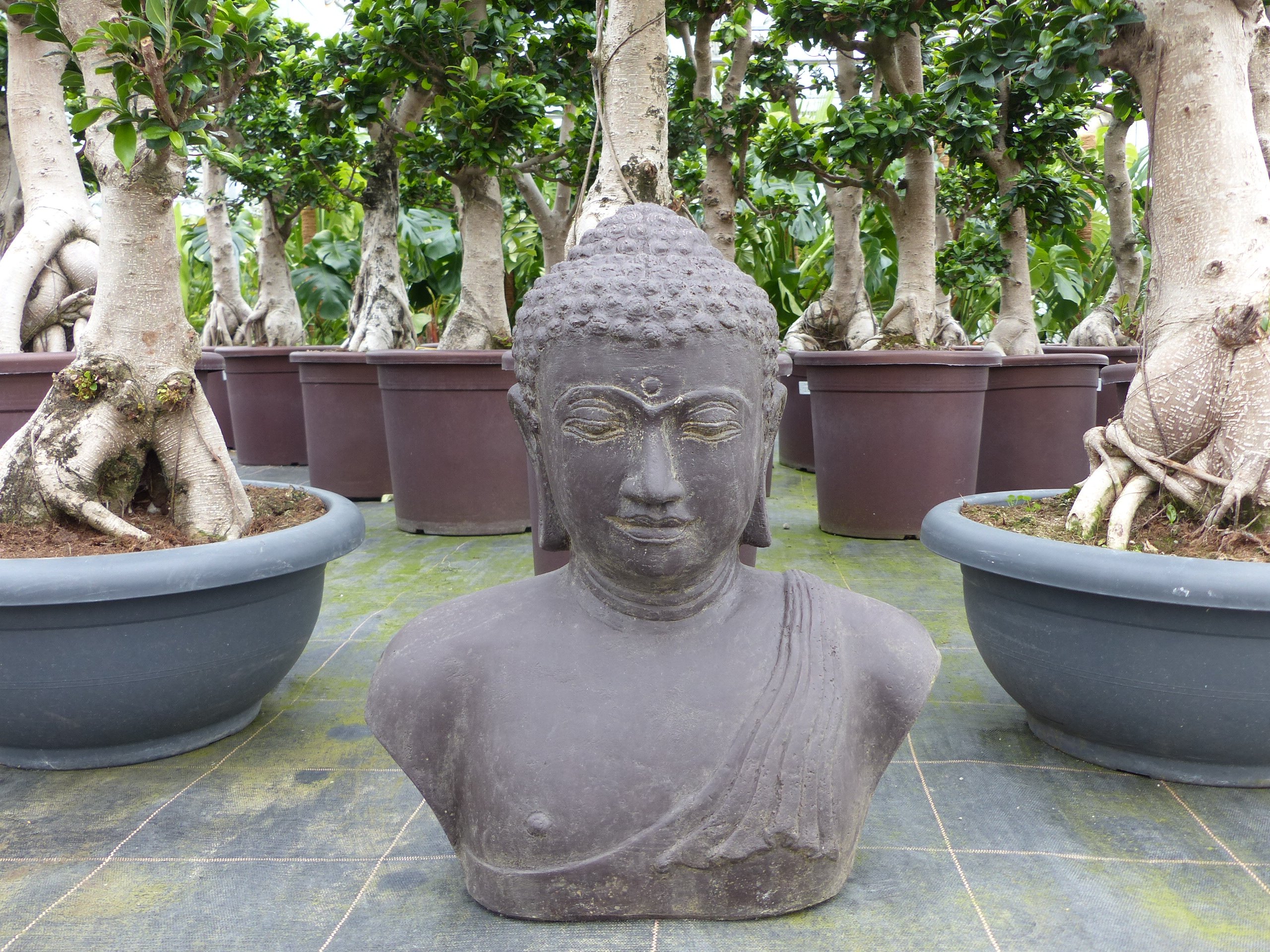 Buddha Figur Torso 55 cm, Fieberglas-Beton, Buddha Statue 25,8 kg