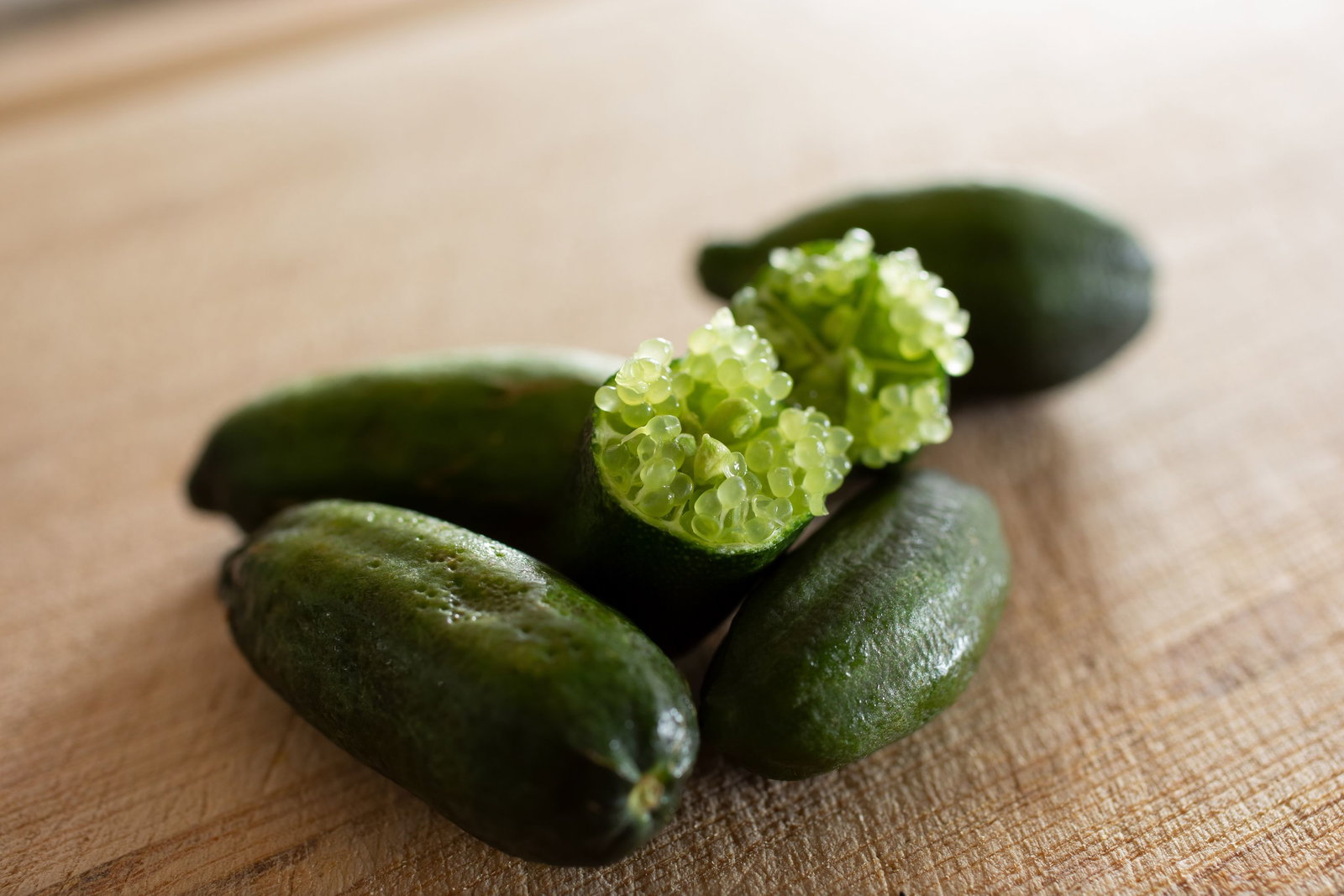 Kaviarlimette 65 - 75 cm | grüner Kaviar | Zitrusbaum | Fingerlimette | veredelt | Premiumqualität | hergestellt auf Sizilien
