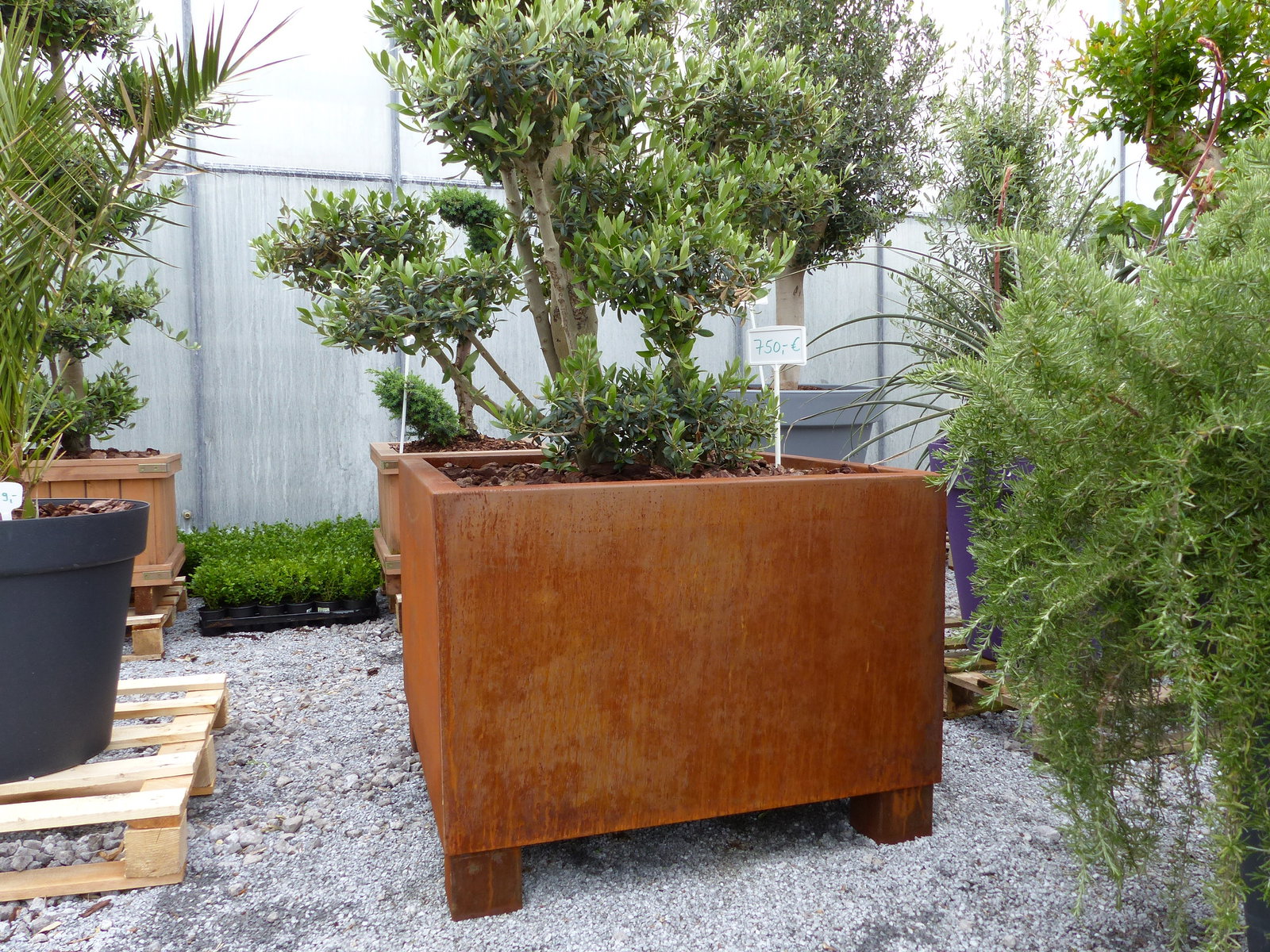 Cortenstahl Pflanzkübel 90x90x60 Rostkübel Rost Stahl Kübel Blumenkübel XXL